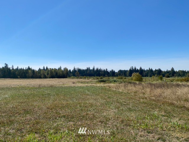 0 Tauscher Road Chehalis, WA 98532 - Photo 12 of 12