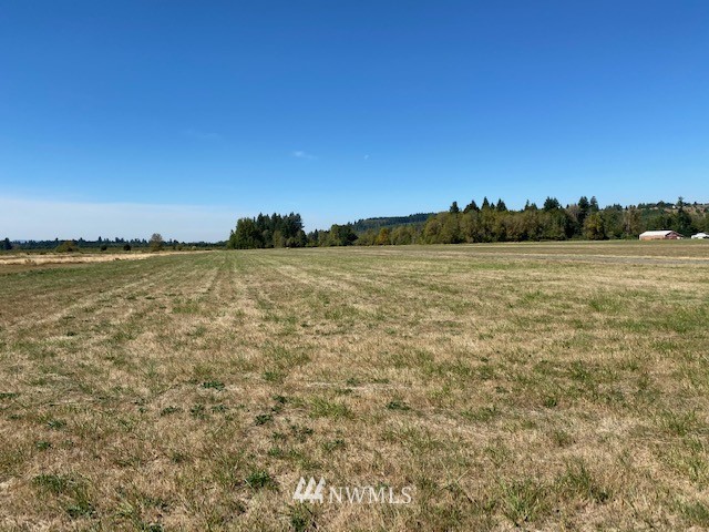 0 Tauscher Road Chehalis, WA 98532 - Photo 4 of 12