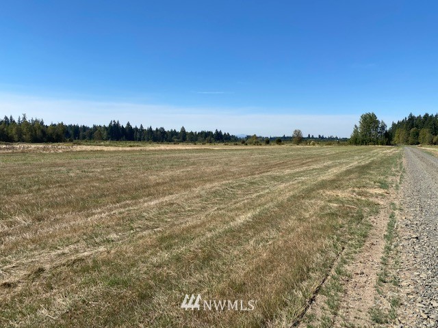0 Tauscher Road Chehalis, WA 98532 - Photo 7 of 12