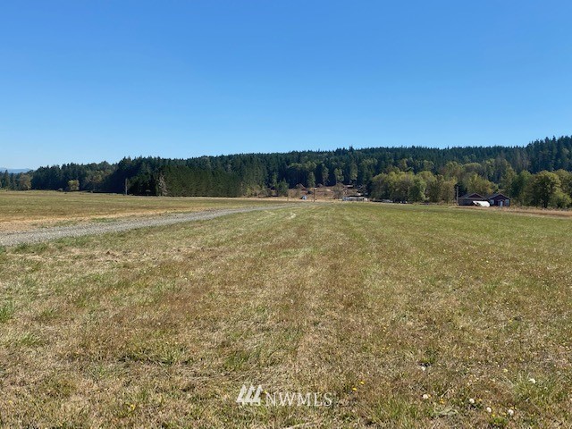 0 Tauscher Road Chehalis, WA 98532 - Photo 8 of 12