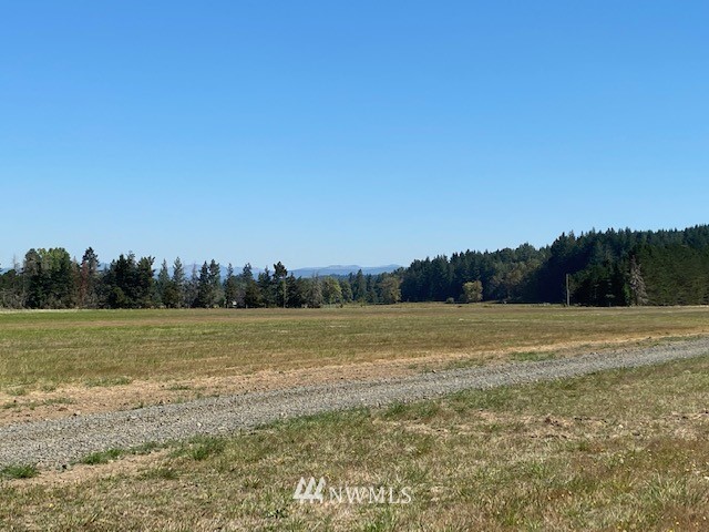 0 Tauscher Road Chehalis, WA 98532 - Photo 9 of 12