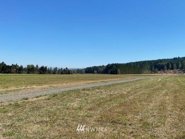 0 Tauscher Road Chehalis, WA 98532 - Photo 10 of 12