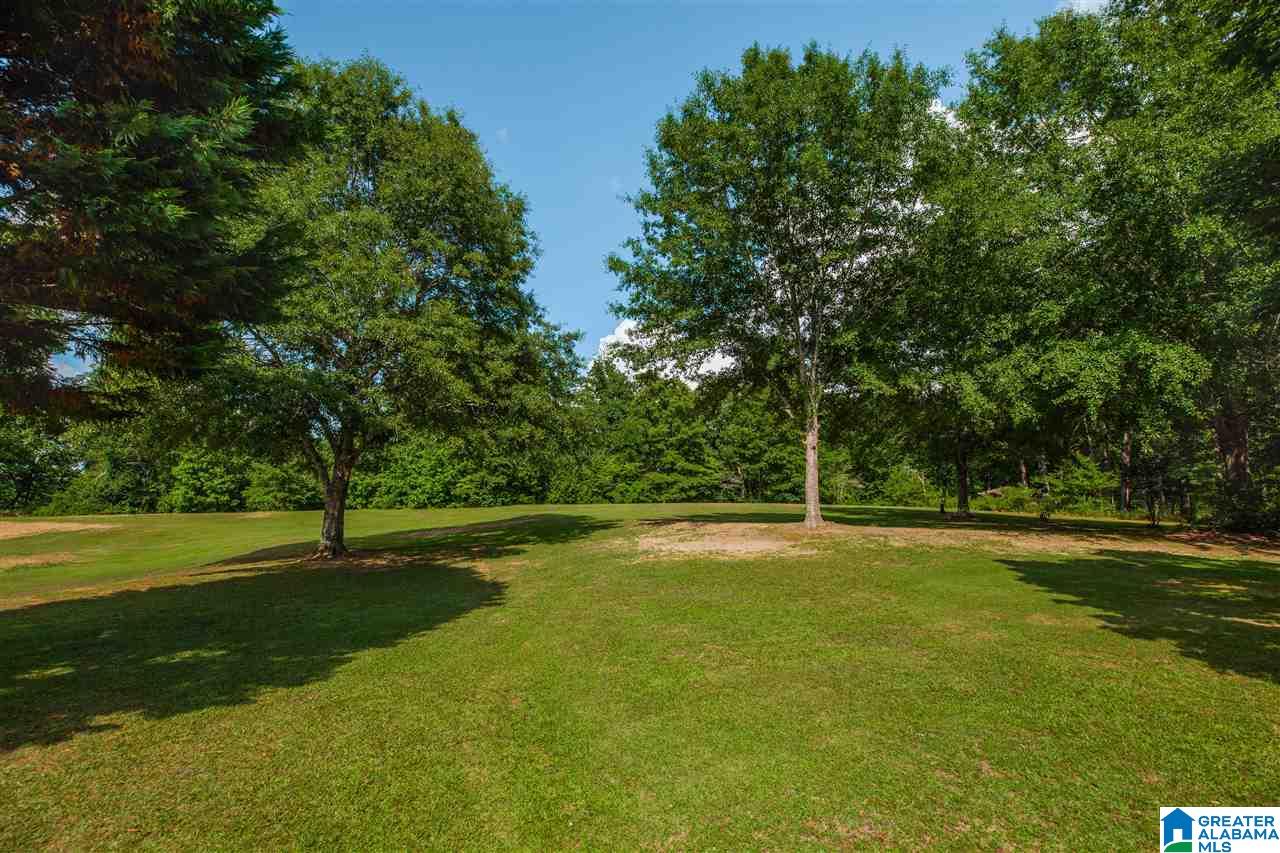 3784 Dean Road Pinson, AL 35126 - Photo 26 of 47