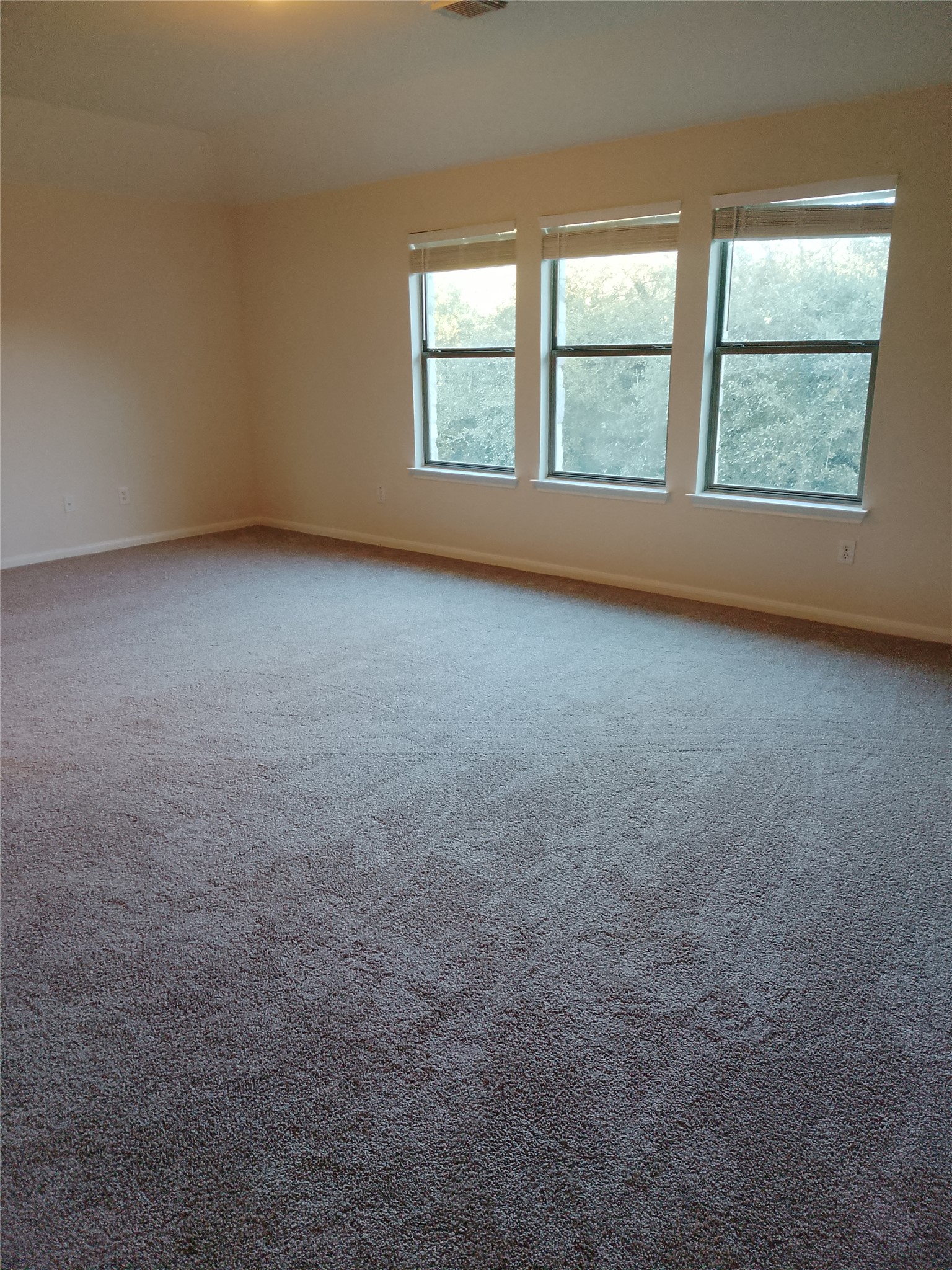 10813 Cap Stone Drive Austin, TX 78739 - Photo 12 of 13 NEW Carpet and paint upstairs family room