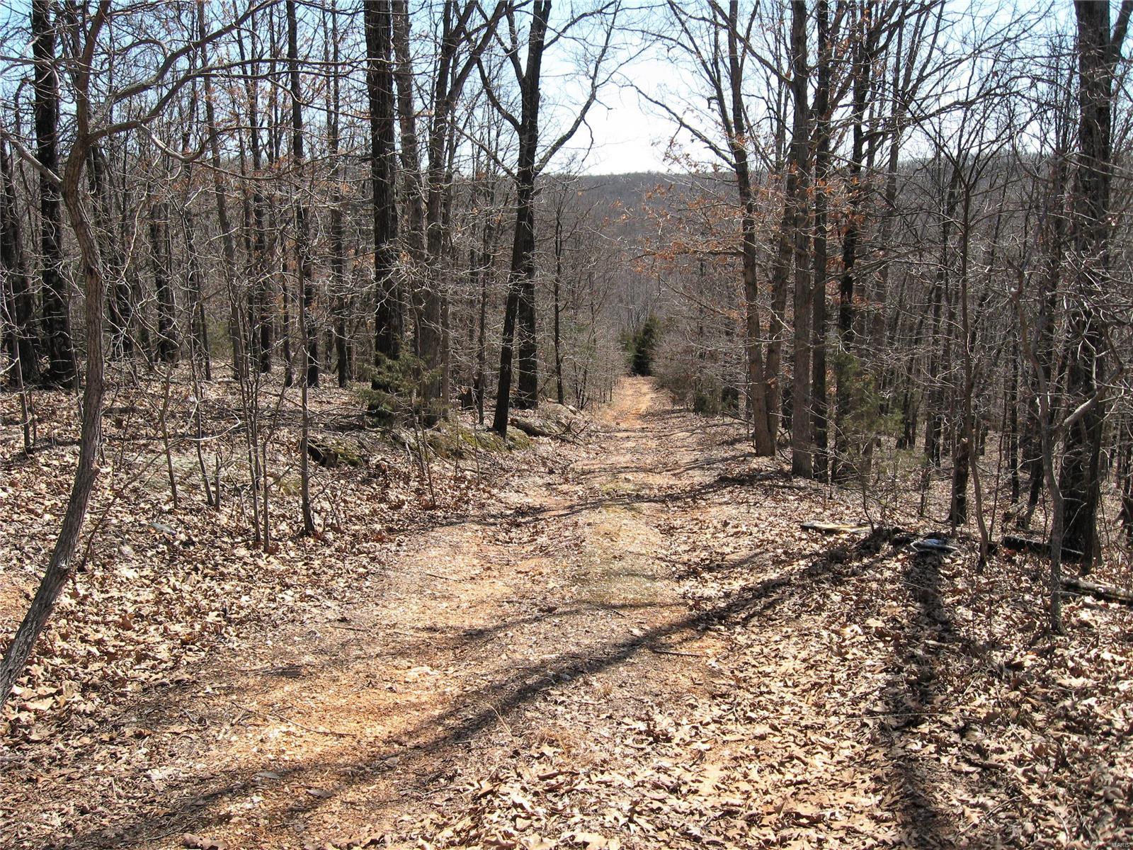 17650 Superior Road St. Robert, MO 65584 - Photo 2 of 7