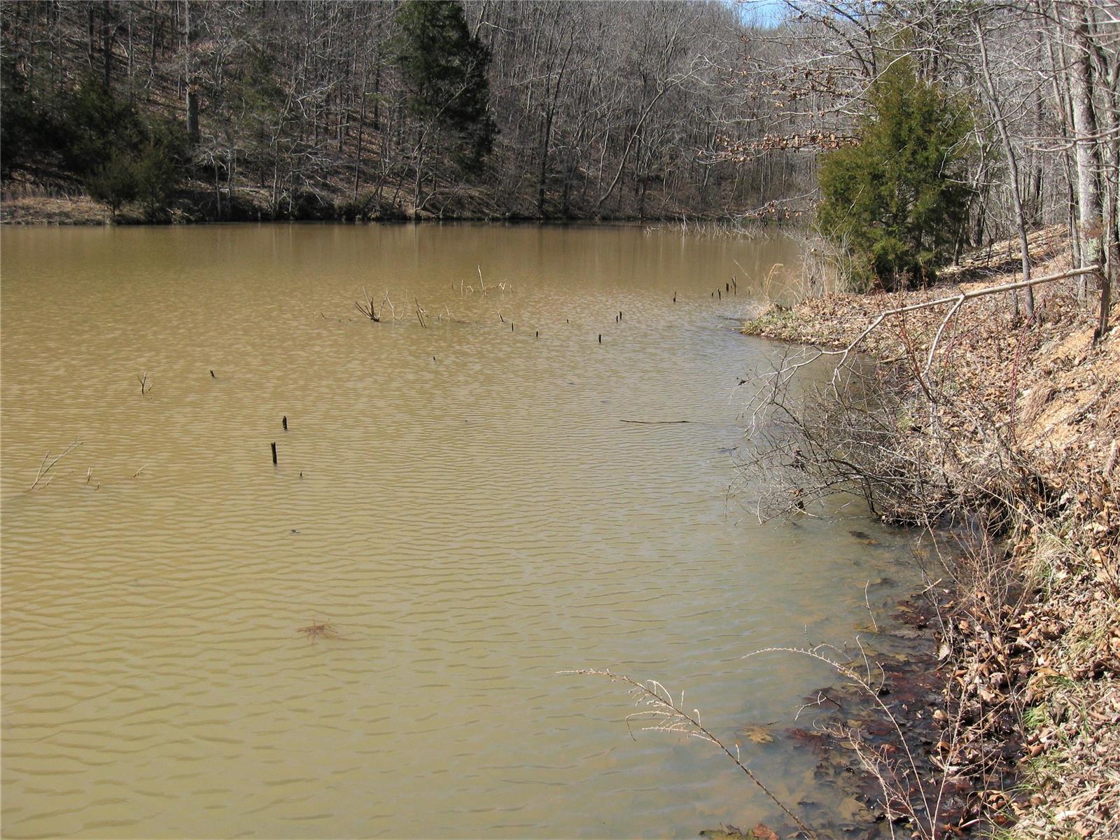 17650 Superior Road St. Robert, MO 65584 - Photo 3 of 7