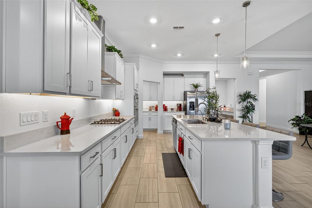 17109 Star Banks Street Wimauma, FL 33598 - Photo 11 of 60 a kitchen with kitchen island a sink appliances and cabinets