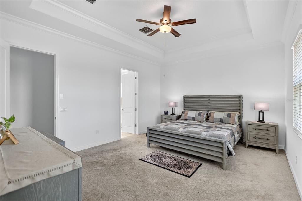 17109 Star Banks Street Wimauma, FL 33598 - Photo 17 of 60 a bedroom with a bed and a chandelier