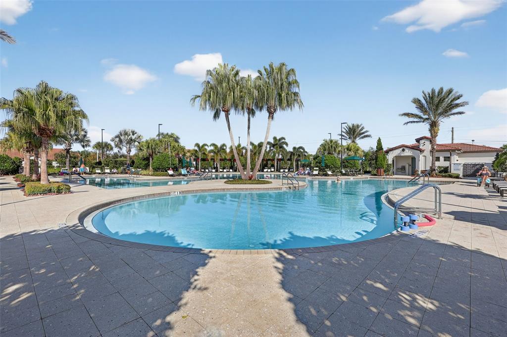 17109 Star Banks Street Wimauma, FL 33598 - Photo 48 of 60 a view of a swimming pool with a lawn chairs and palm tree