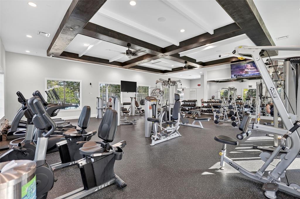 17109 Star Banks Street Wimauma, FL 33598 - Photo 49 of 60 a view of a room with gym equipment