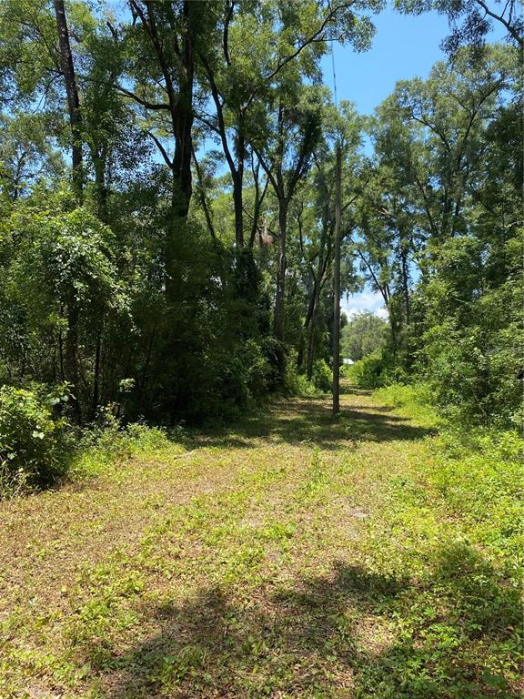 Southwest 158th Street Archer, FL 32618 - Photo 1 of 1