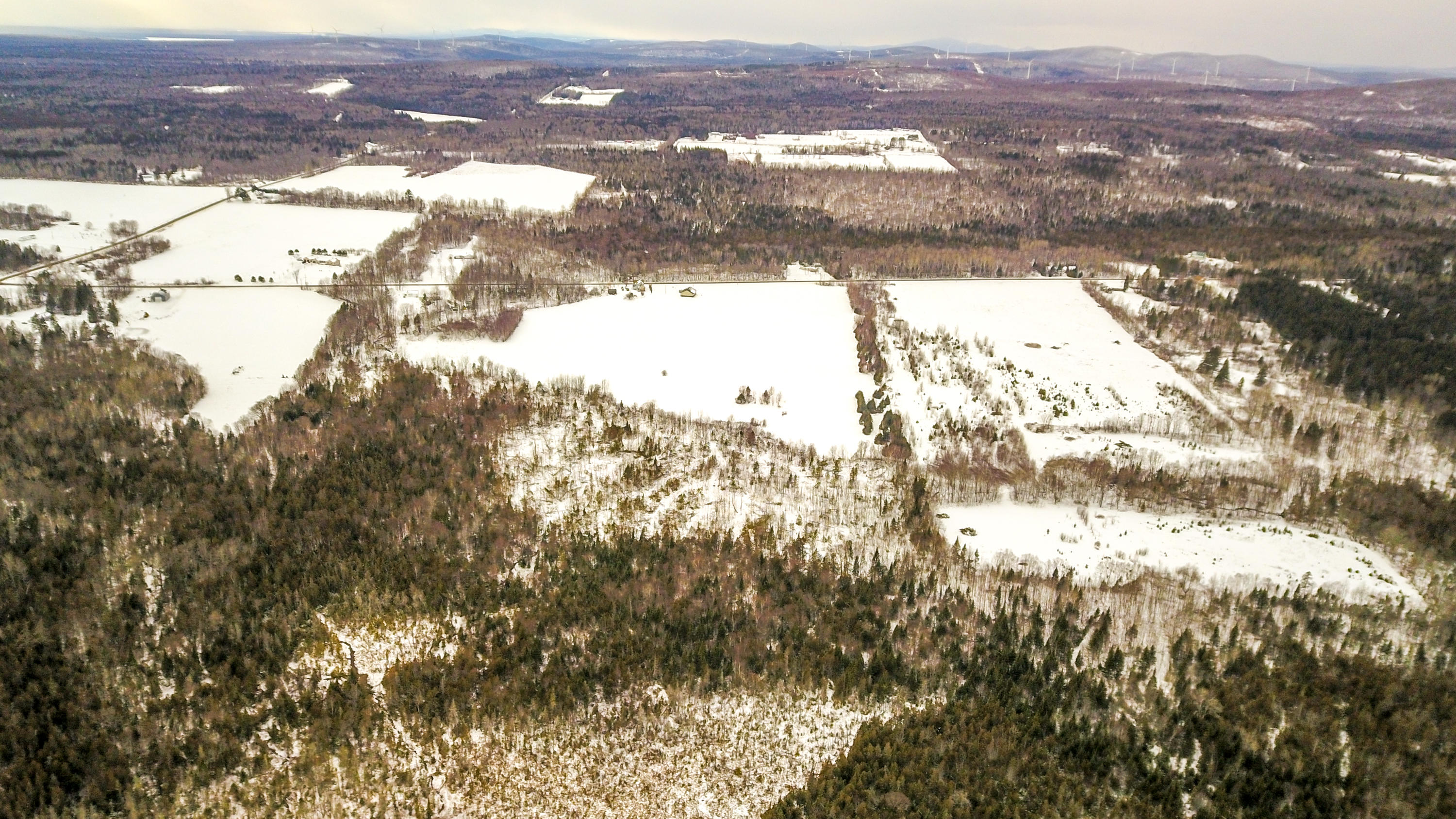 Lot 39 Off New Limerick Road Houlton, ME 04730 - Photo 14 of 24 Edited-11