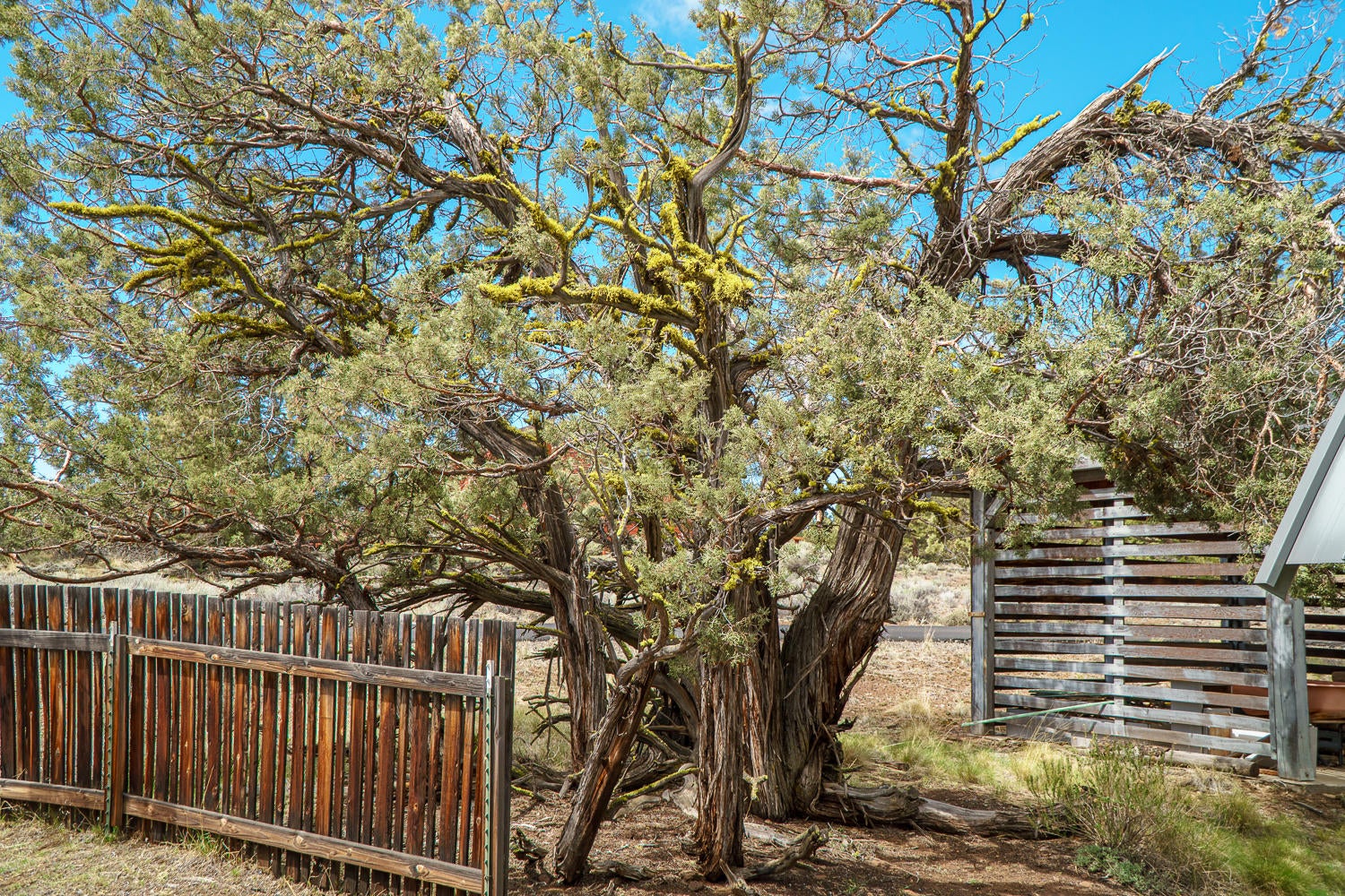 16057 Cattle Drive Road Sisters, OR 97759 - Photo 46 of 49 52