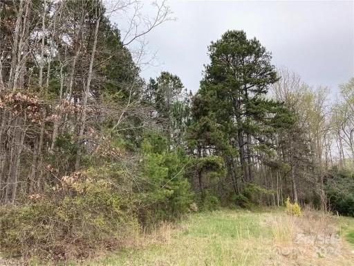 0 Reddy Foxx Lane Thomasville, NC 27360 - Photo 2 of 5 Gallery Image 2