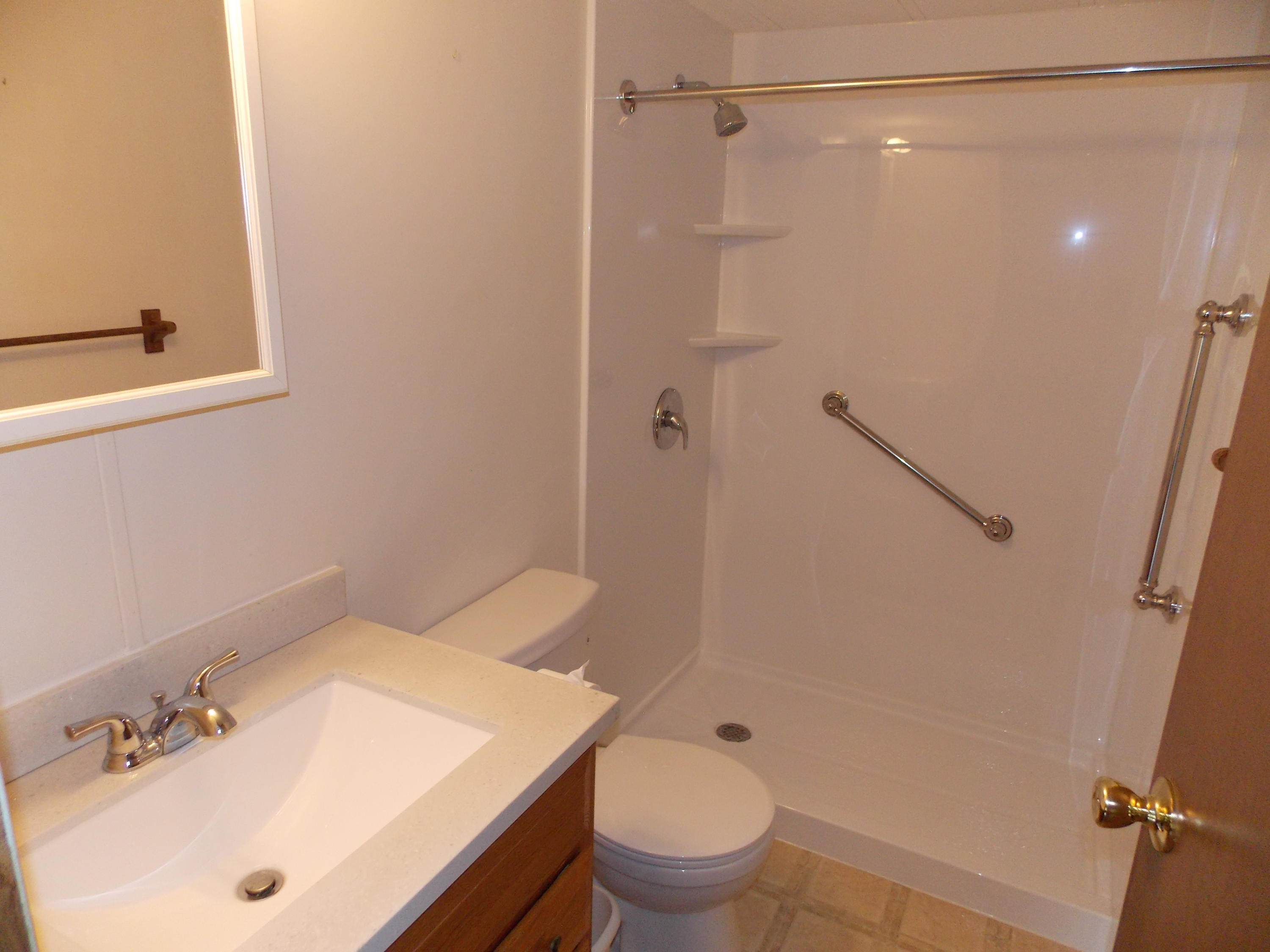 1286 Lester Road Northwest Riner, VA 24149 - Photo 21 of 25 a bathroom with a sink a toilet and shower