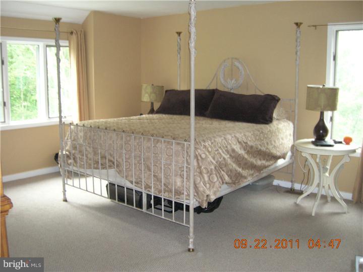 145 Dowlin Forge Road Downingtown, PA 19335 - Photo 13 of 21 Master Bedroom