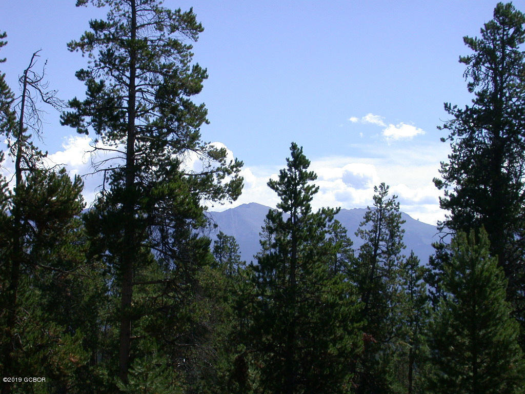 79 Gcr 5111 / Ridge Tabernash, CO 80478 - Photo 17 of 21 a view of a tree in a forest
