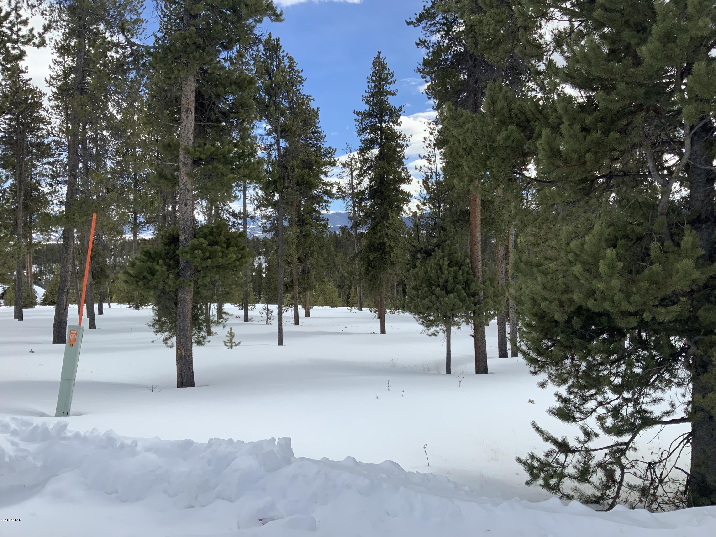 79 Gcr 5111 / Ridge Tabernash, CO 80478 - Photo 3 of 21 a view of outdoor space with trees