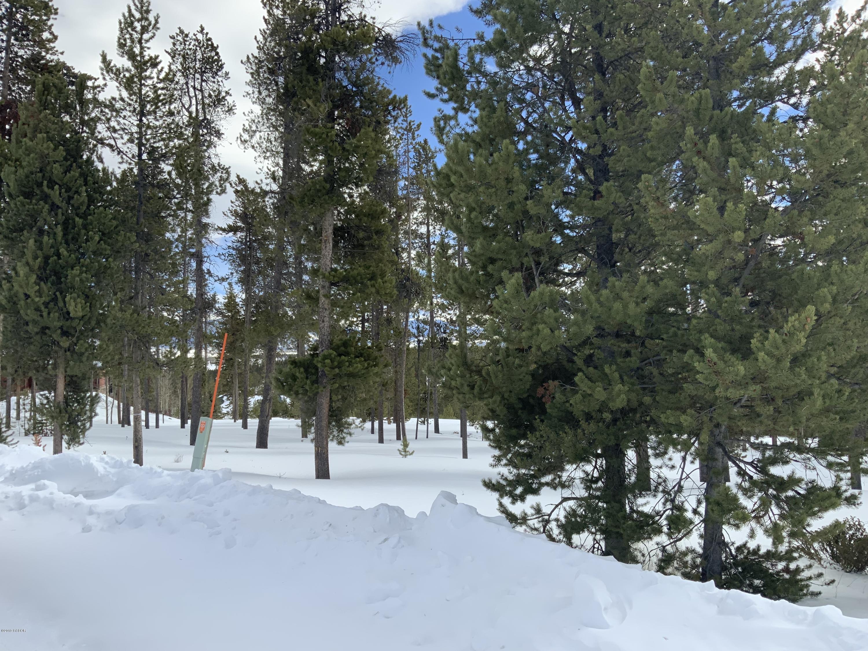 79 Gcr 5111 / Ridge Tabernash, CO 80478 - Photo 5 of 21 a street view with large trees