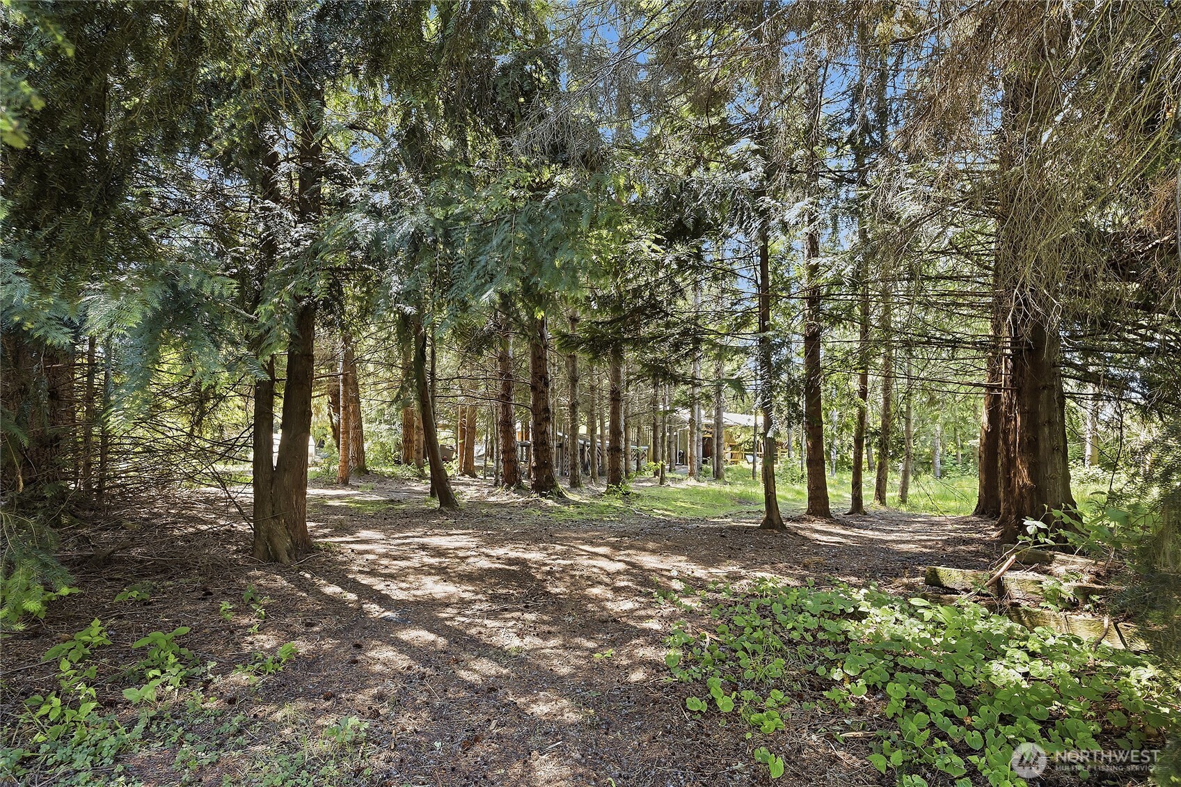 16227 Forty Five Road Arlington, WA 98223 - Photo 27 of 32