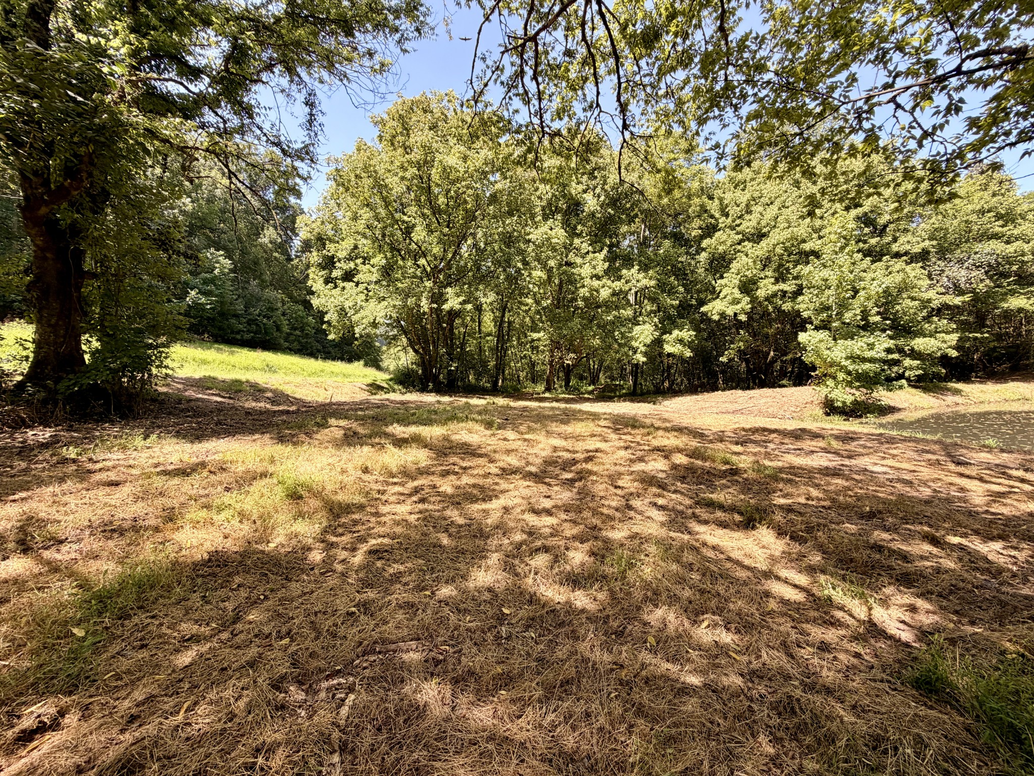 877 Hanna Branch Road Prospect, TN 38477 - Photo 37 of 49 Gallery Image 37