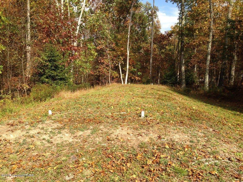 189 Magic Mountain Road Henryville, PA 18332 - Photo 16 of 16 Yard