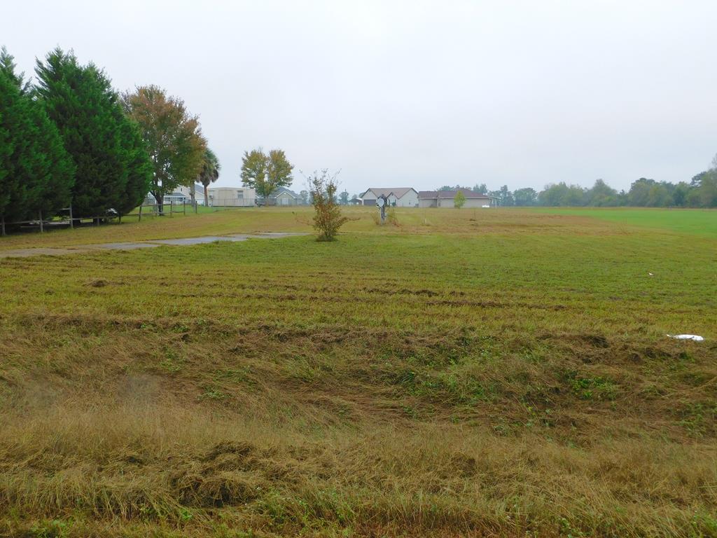 703 Gritney Road Daleville, AL 36322 - Photo 1 of 1