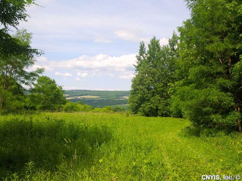 0 Kennedy Road Moravia, NY 13118 - Photo 1 of 1 View.