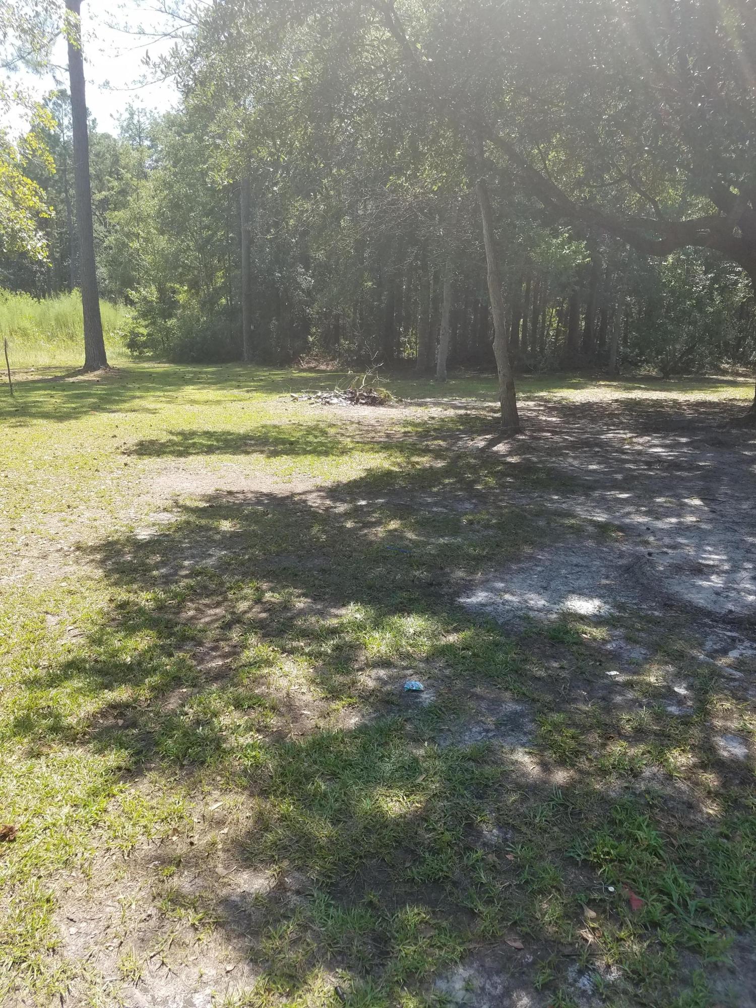 6953 Buckhorn Road Ravenel, SC 29470 - Photo 2 of 3 6953 Buckhorn 2