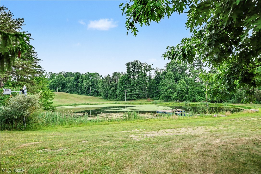 10036 Wilson Mills Road Chardon, OH 44024 - Photo 16 of 27 Gallery Image 16