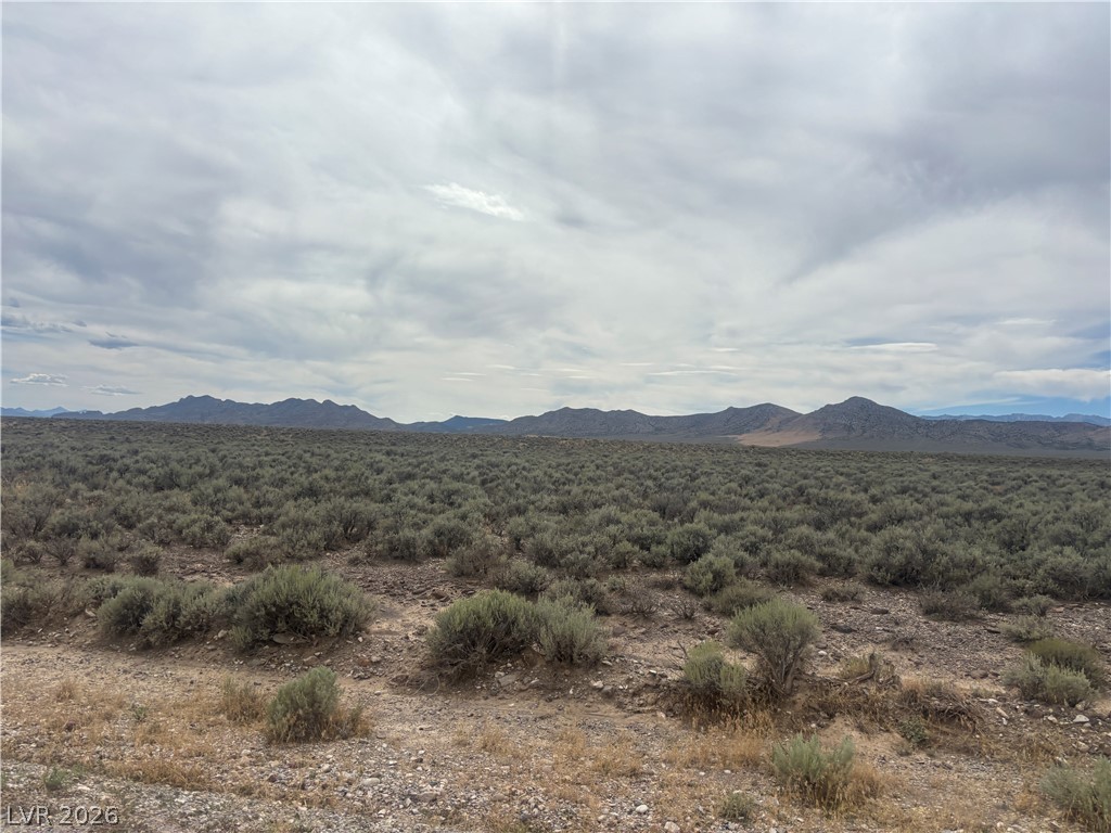 Preston Dump Road Lund, NV 89317 - Photo 3 of 7 Distant mountains frame the wide, open horizon of this vast desert landscape.