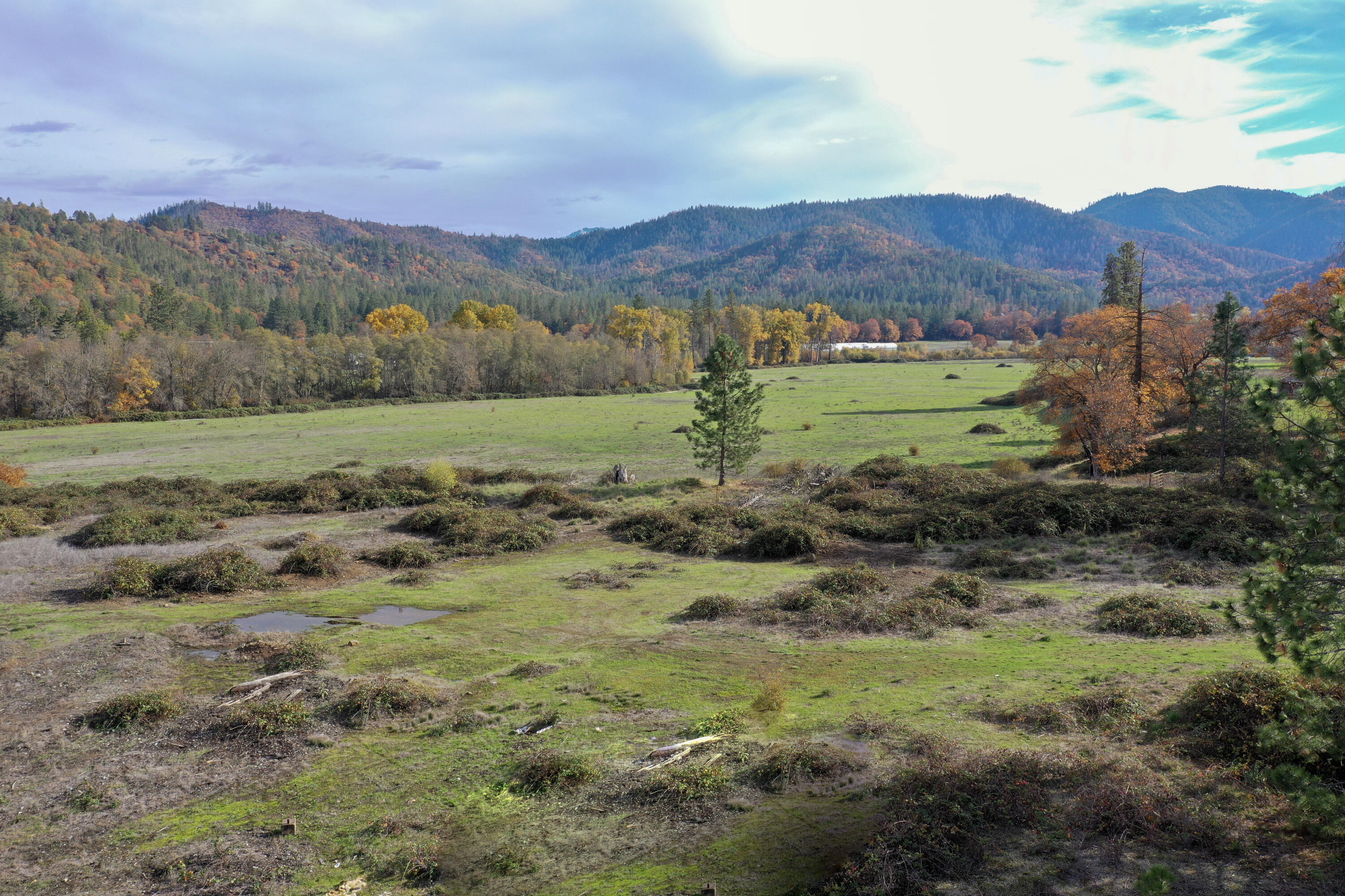500 Powell Creek Road Williams, OR 97544 - Photo 9 of 28 8-DJI_0021
