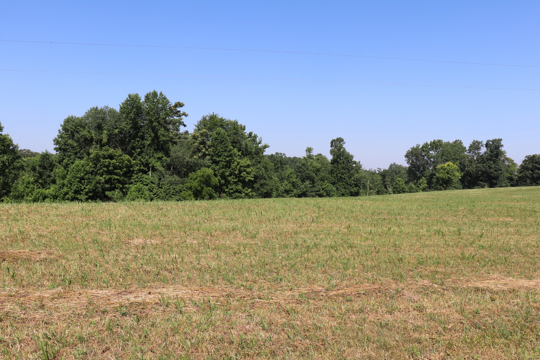 1 Driver Road Lafayette, TN 37083 - Photo 3 of 4