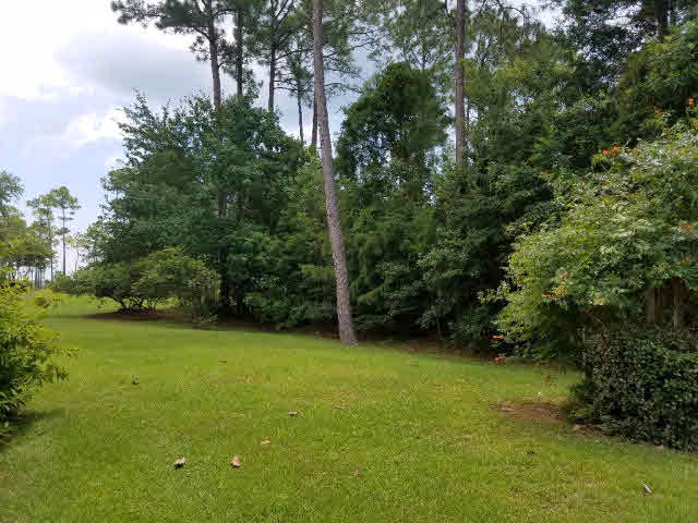 8150 Bay View Drive Foley, AL 36535 - Photo 26 of 34 back yard