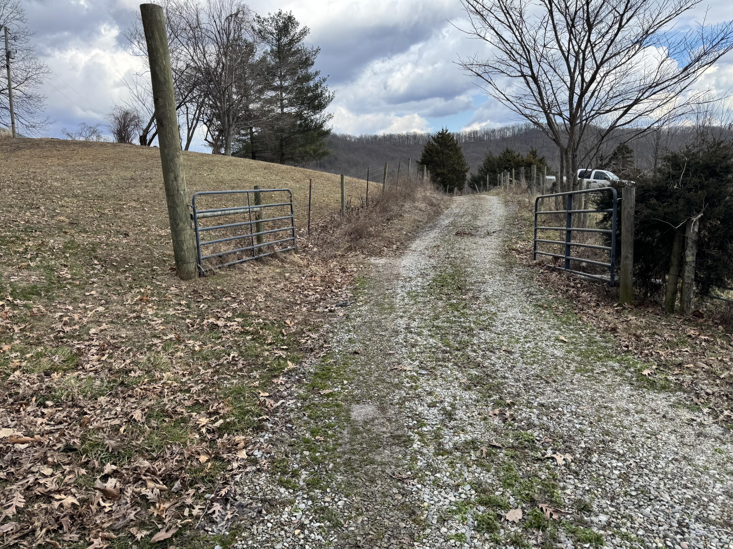 0 Ringos Mills Road Hillsboro, KY 41049 - Photo 2 of 19 IMG_3716 2
