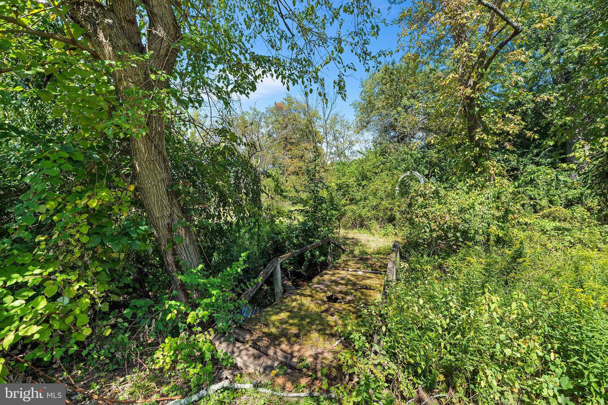 787 North Lewis Road Royersford, PA 19468 - Photo 28 of 53 a view of a lush green forest