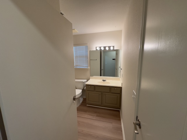 109 Plover Pass Georgetown, TX 78633 - Photo 11 of 25 Bathroom featuring vanity and light wood-type flooring