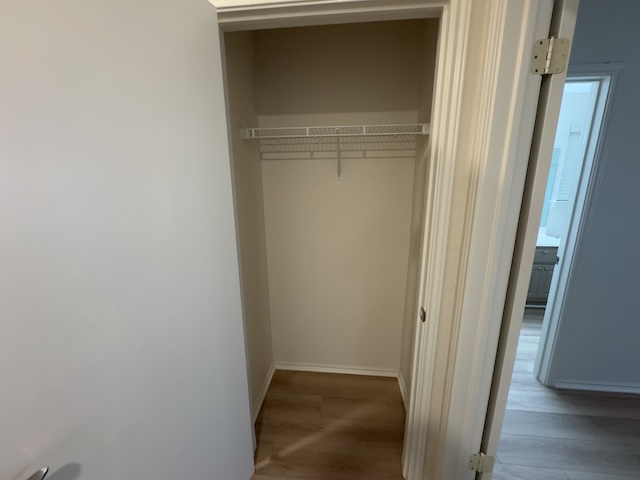 109 Plover Pass Georgetown, TX 78633 - Photo 12 of 25 View of closet