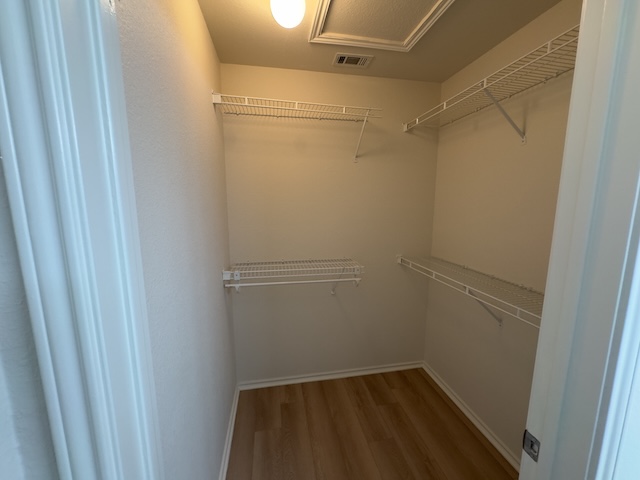 109 Plover Pass Georgetown, TX 78633 - Photo 13 of 25 Walk in closet with light wood-type flooring