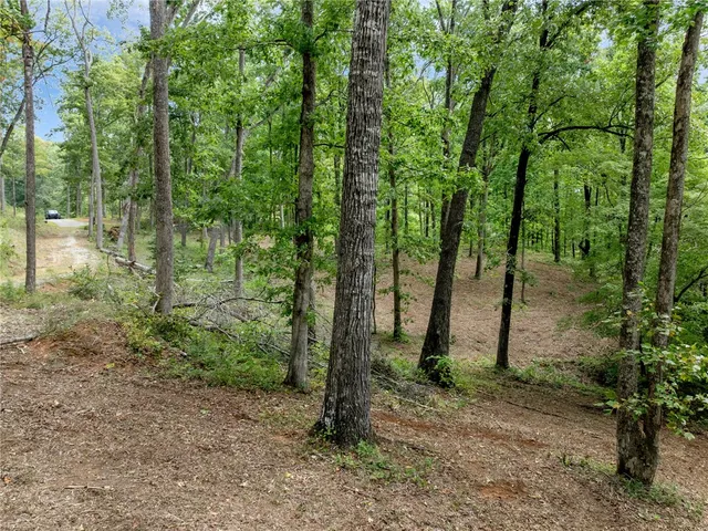 $2,599,000 | 111 Sandy Hollow, Six Mile, SC 29682