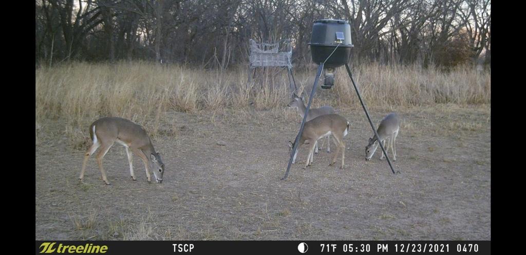 226 County Road 226 Rising Star, TX 76471 - Photo 14 of 25