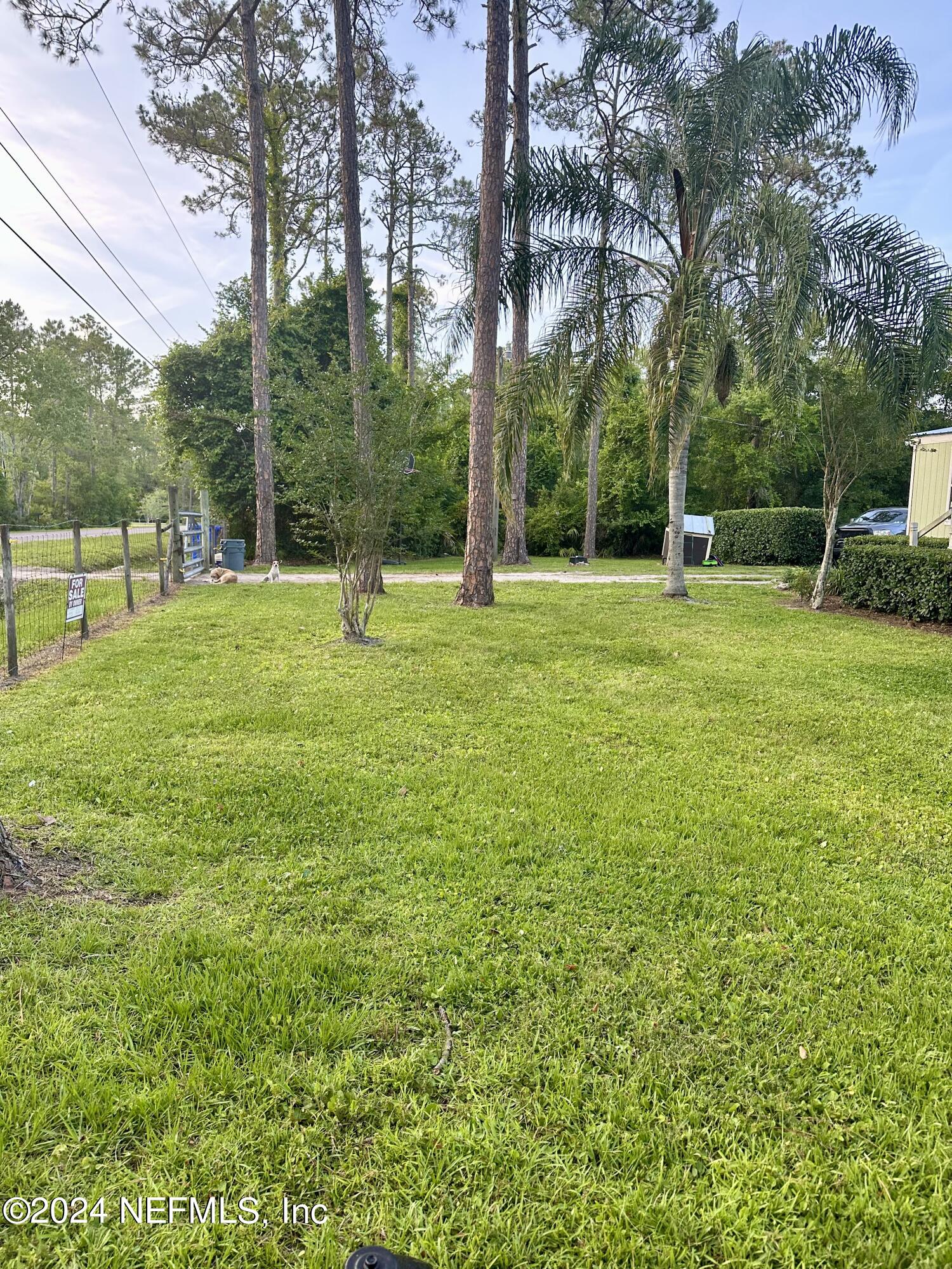 3140 Green Acres Road St. Augustine, FL 32084 - Photo 3 of 15 a view of a park with large trees