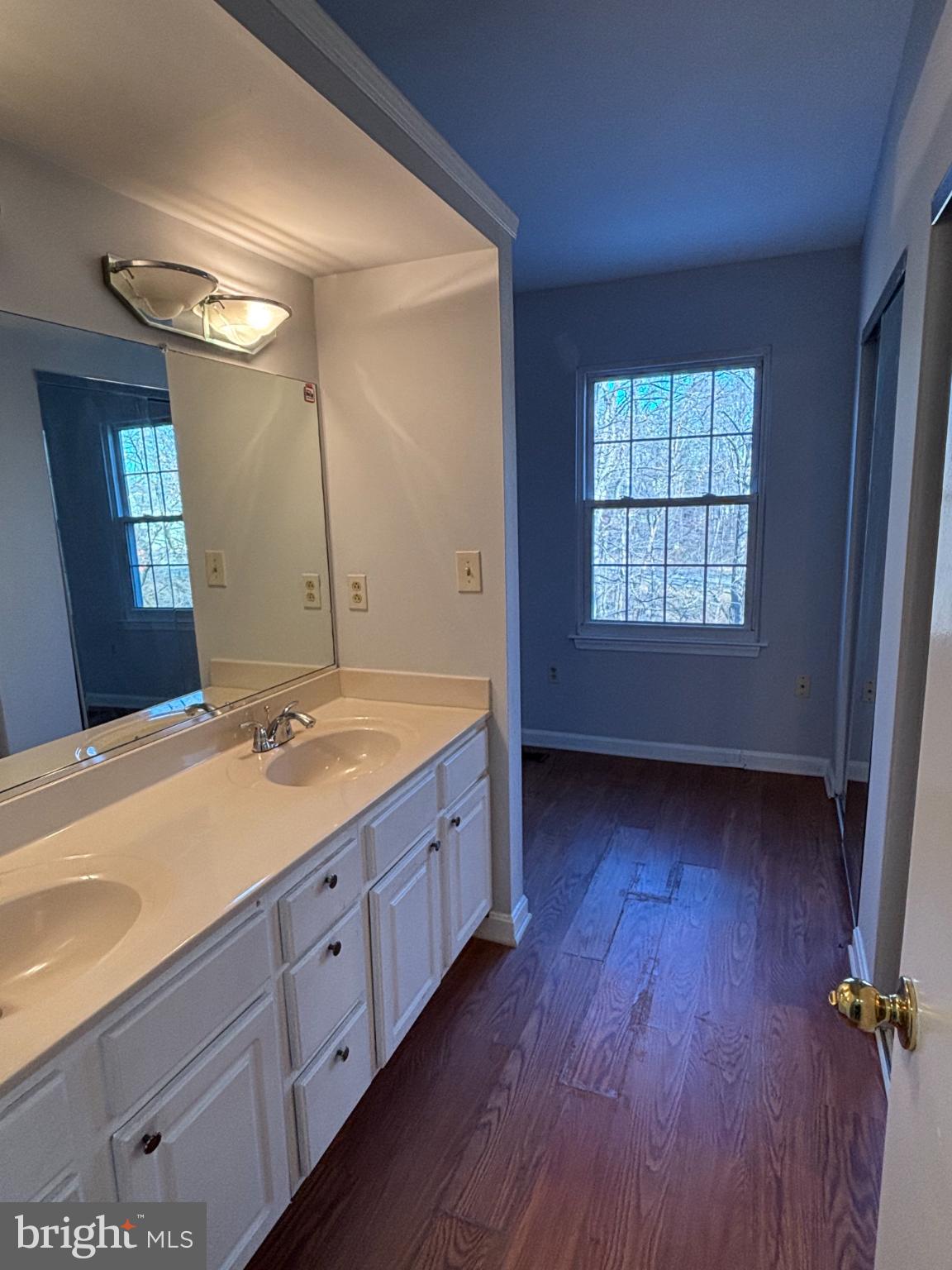 2718 Hunters Gate Terrace Silver Spring, MD 20904 - Photo 20 of 28 Double Vanity Sink in Primary Bath