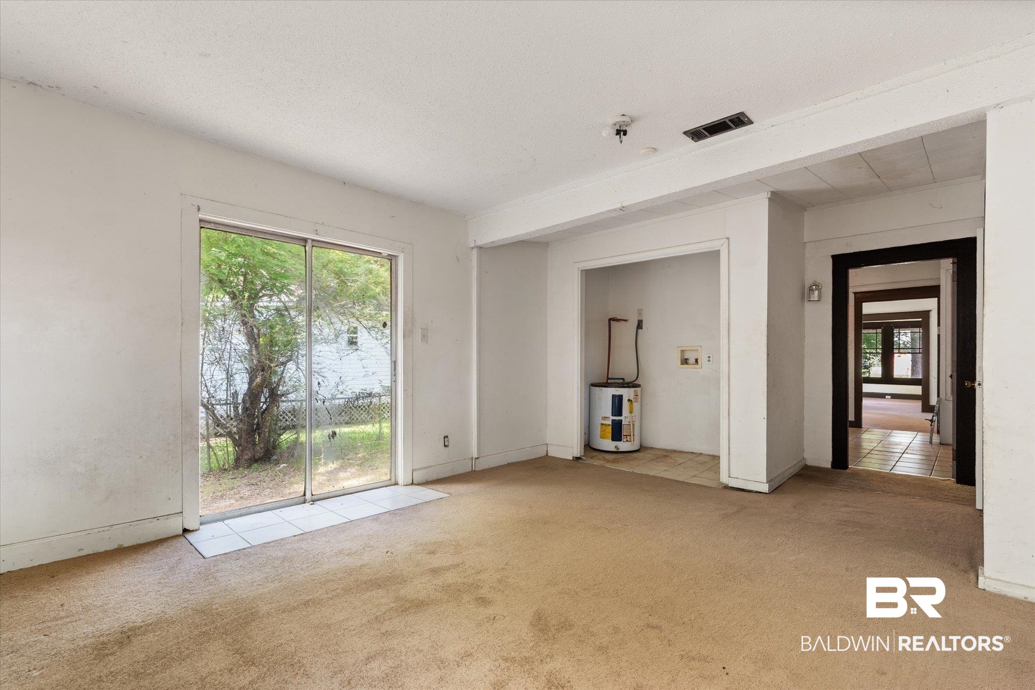 672 Burden Street Mobile, AL 36607 - Photo 9 of 20 Unfurnished living room featuring water heater, carpet, and healthy amount of natural light