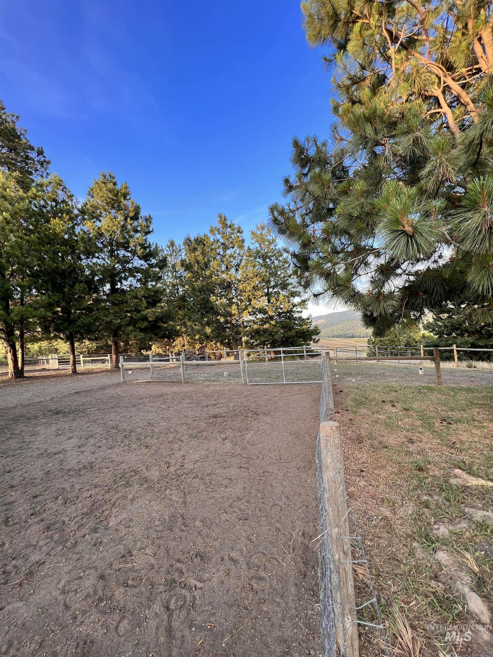 1049 Libey Road Viola, ID 83872 - Photo 41 of 43 Fenced outdoor arena with a dirt surface, surrounded by mature evergreen trees and a clear sky backdrop