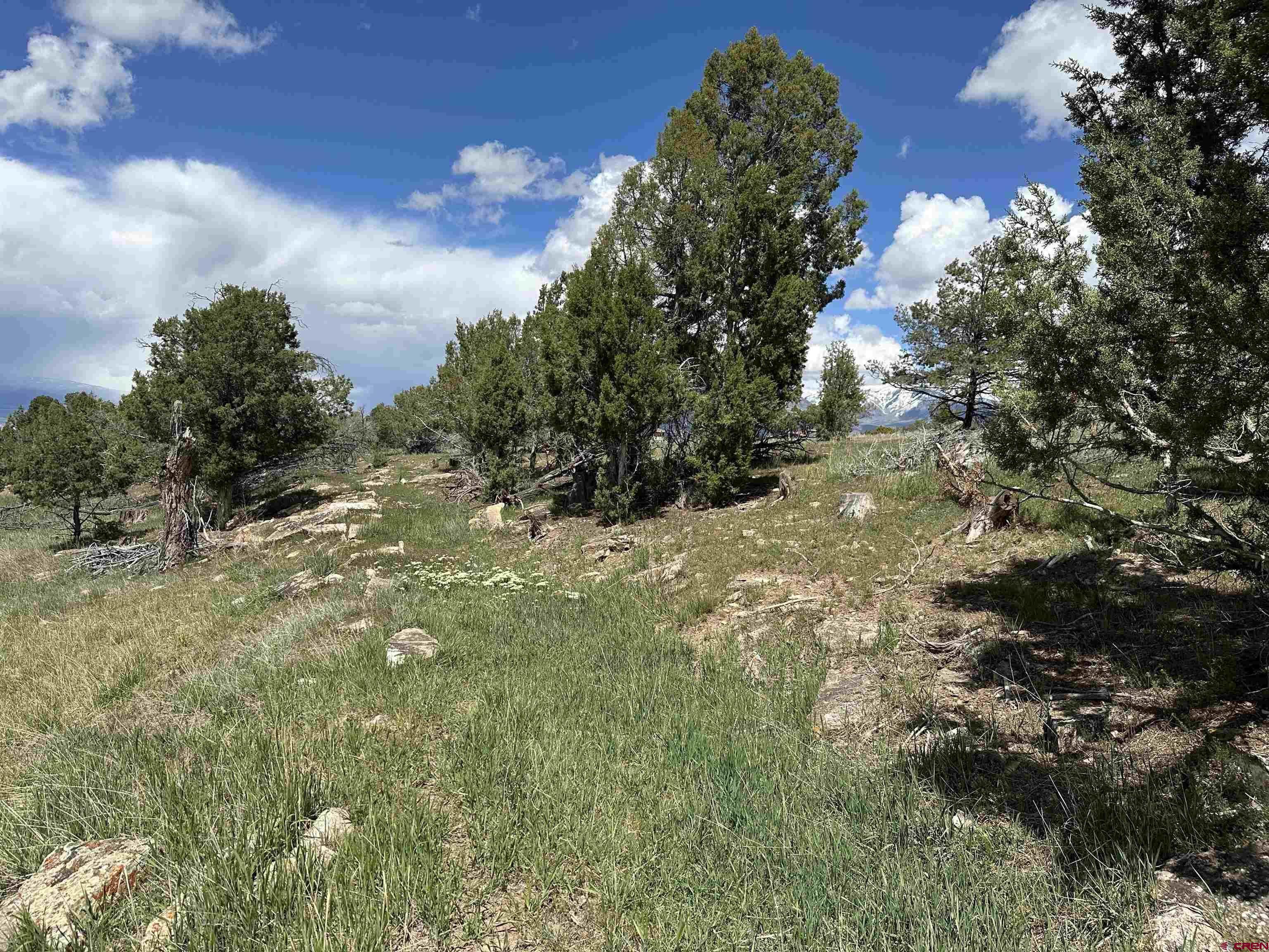 37838 Polson Road Crawford, CO 81415 - Photo 20 of 44