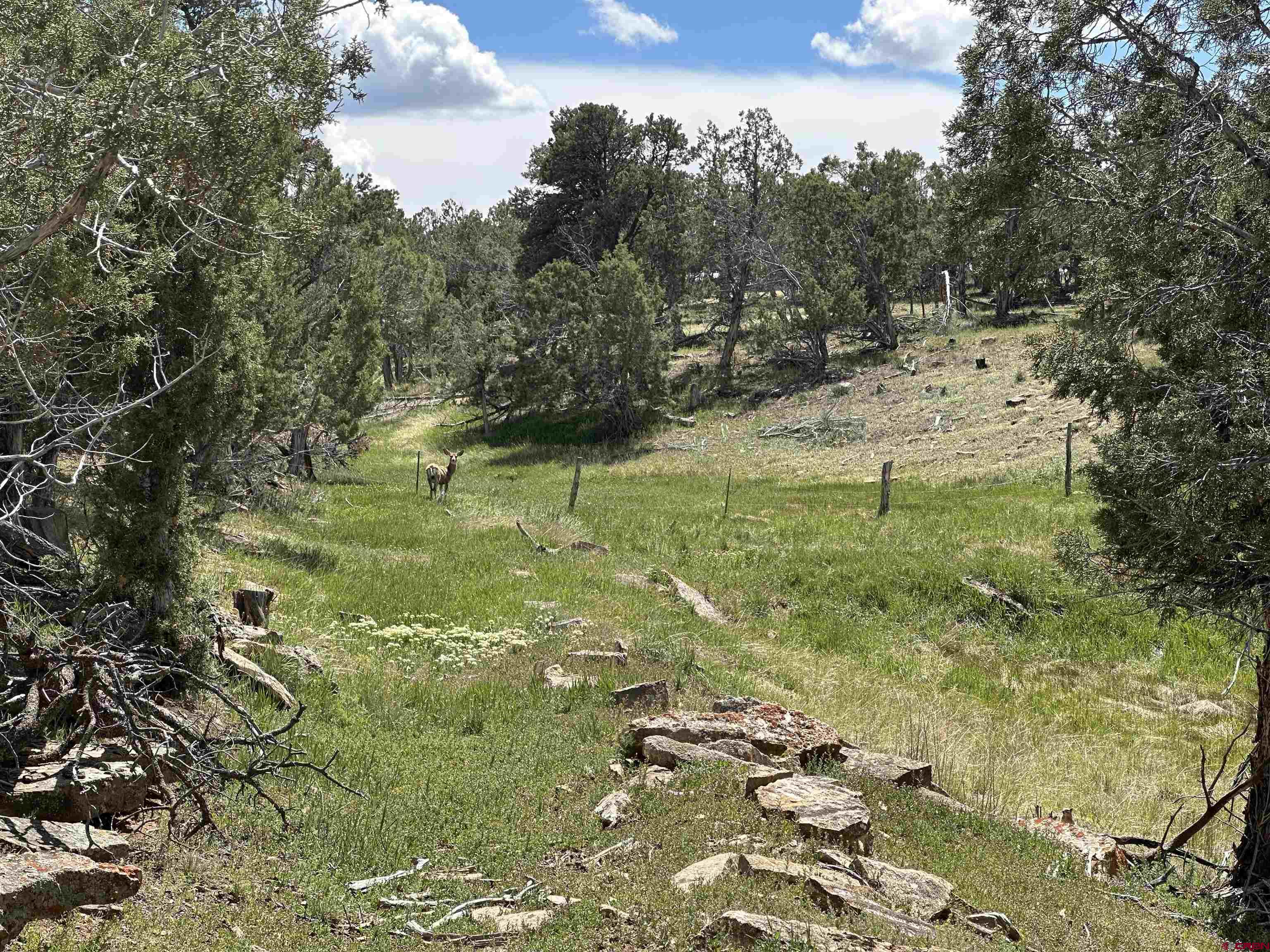 37838 Polson Road Crawford, CO 81415 - Photo 21 of 44