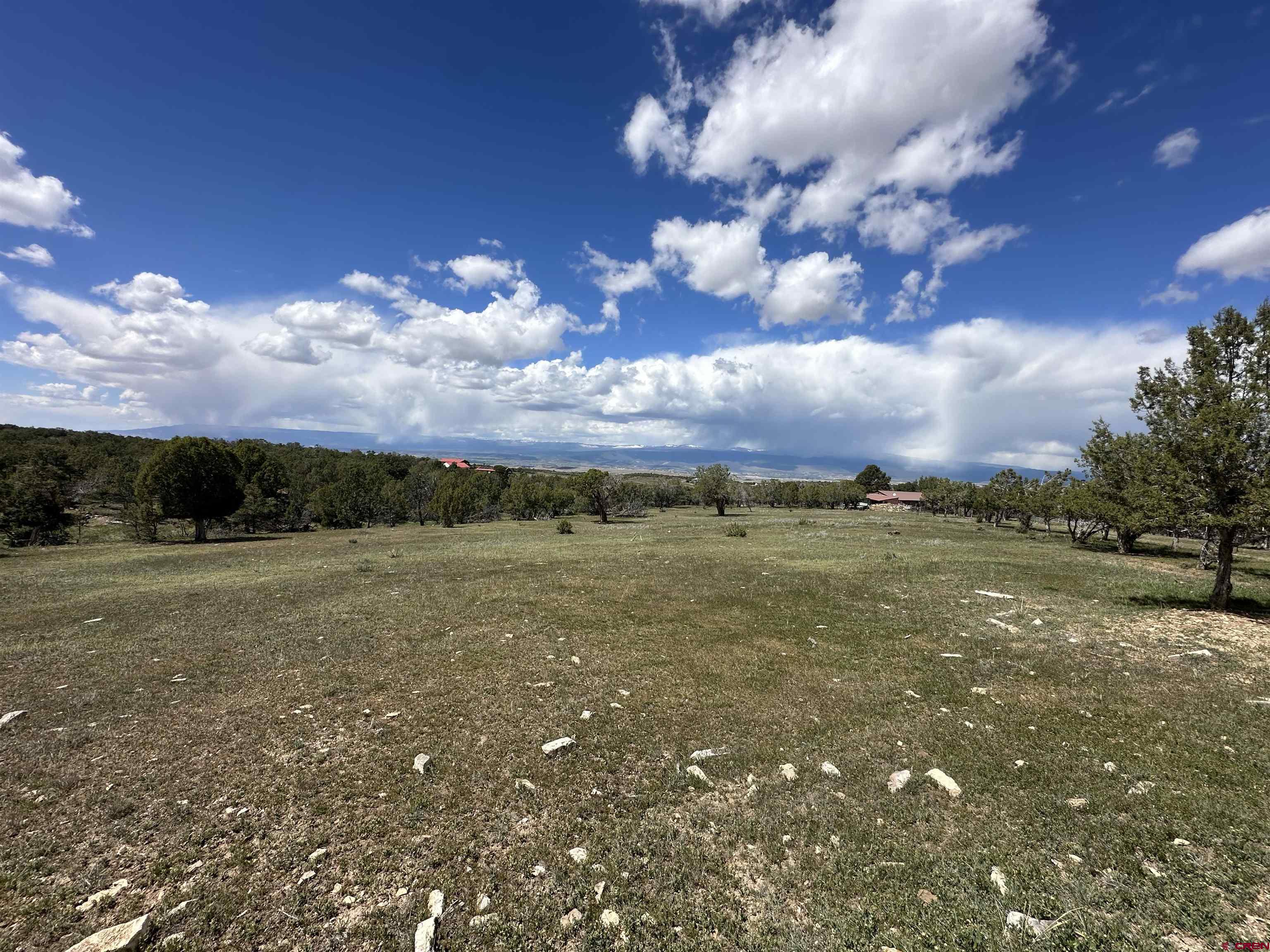 37838 Polson Road Crawford, CO 81415 - Photo 23 of 44