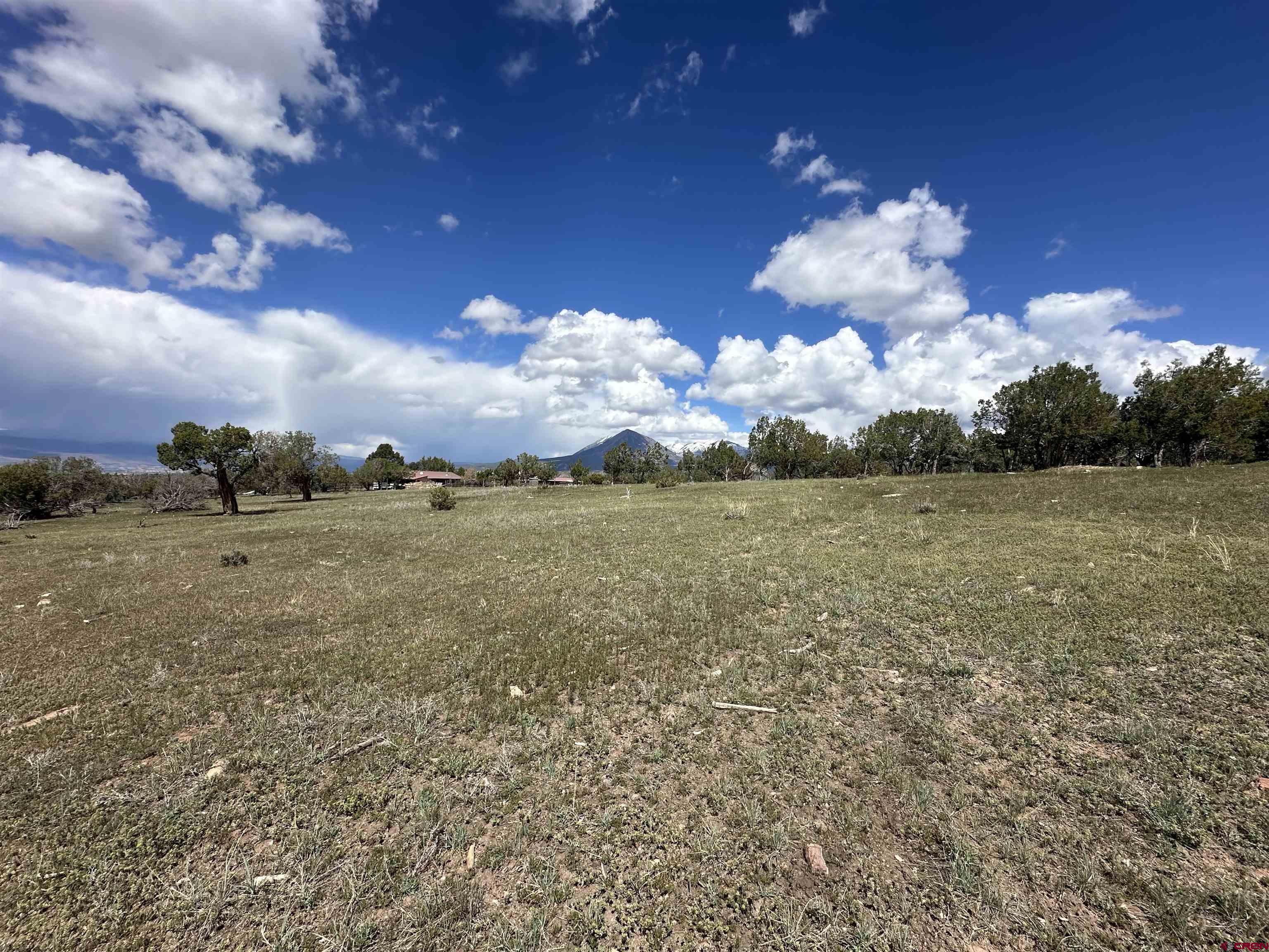 37838 Polson Road Crawford, CO 81415 - Photo 24 of 44