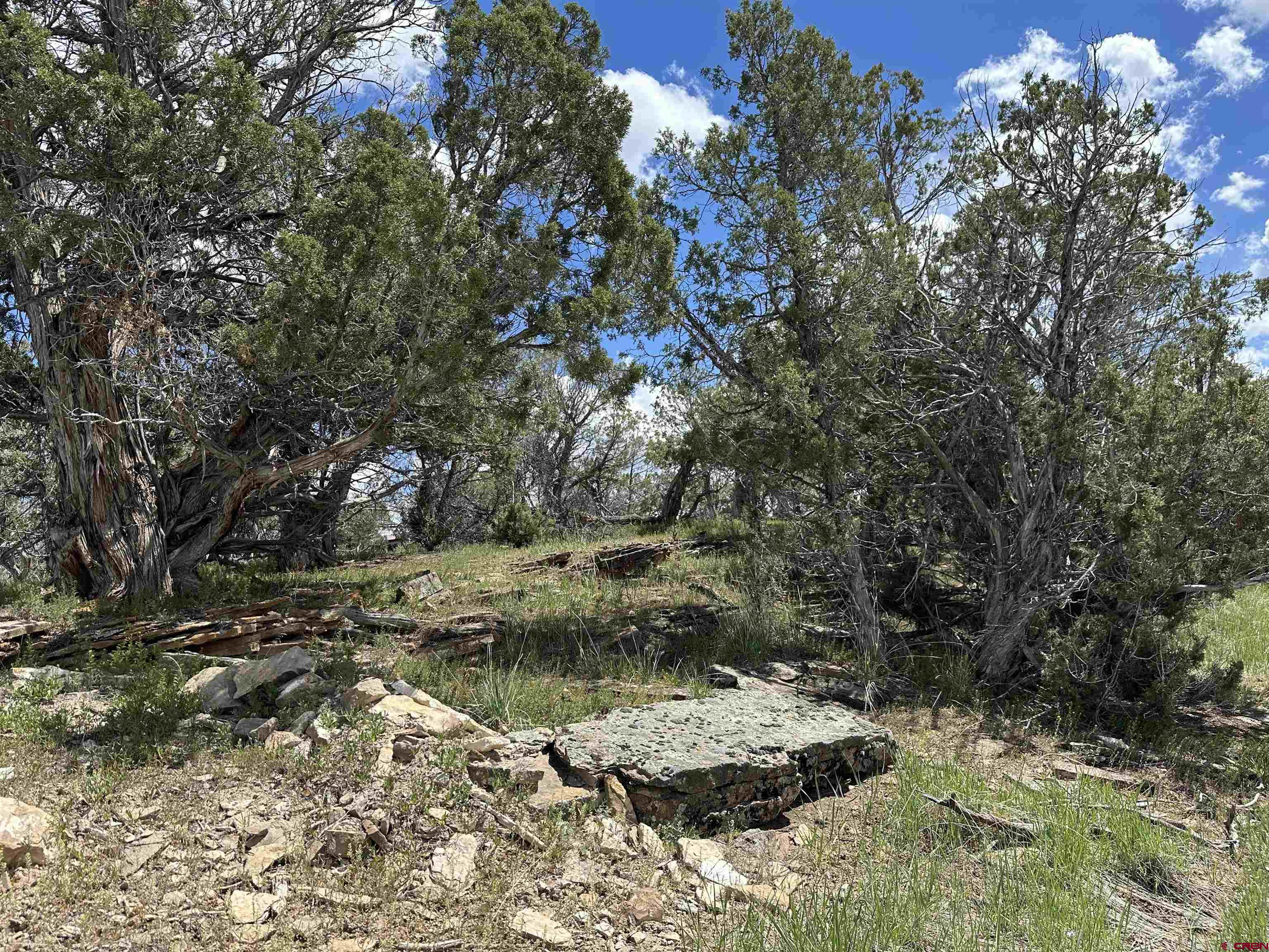 37838 Polson Road Crawford, CO 81415 - Photo 26 of 44